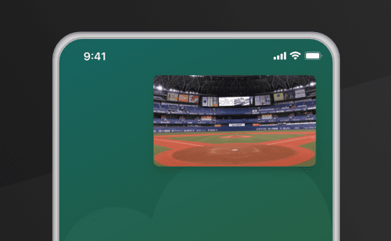 ピクチャーインピクチャー