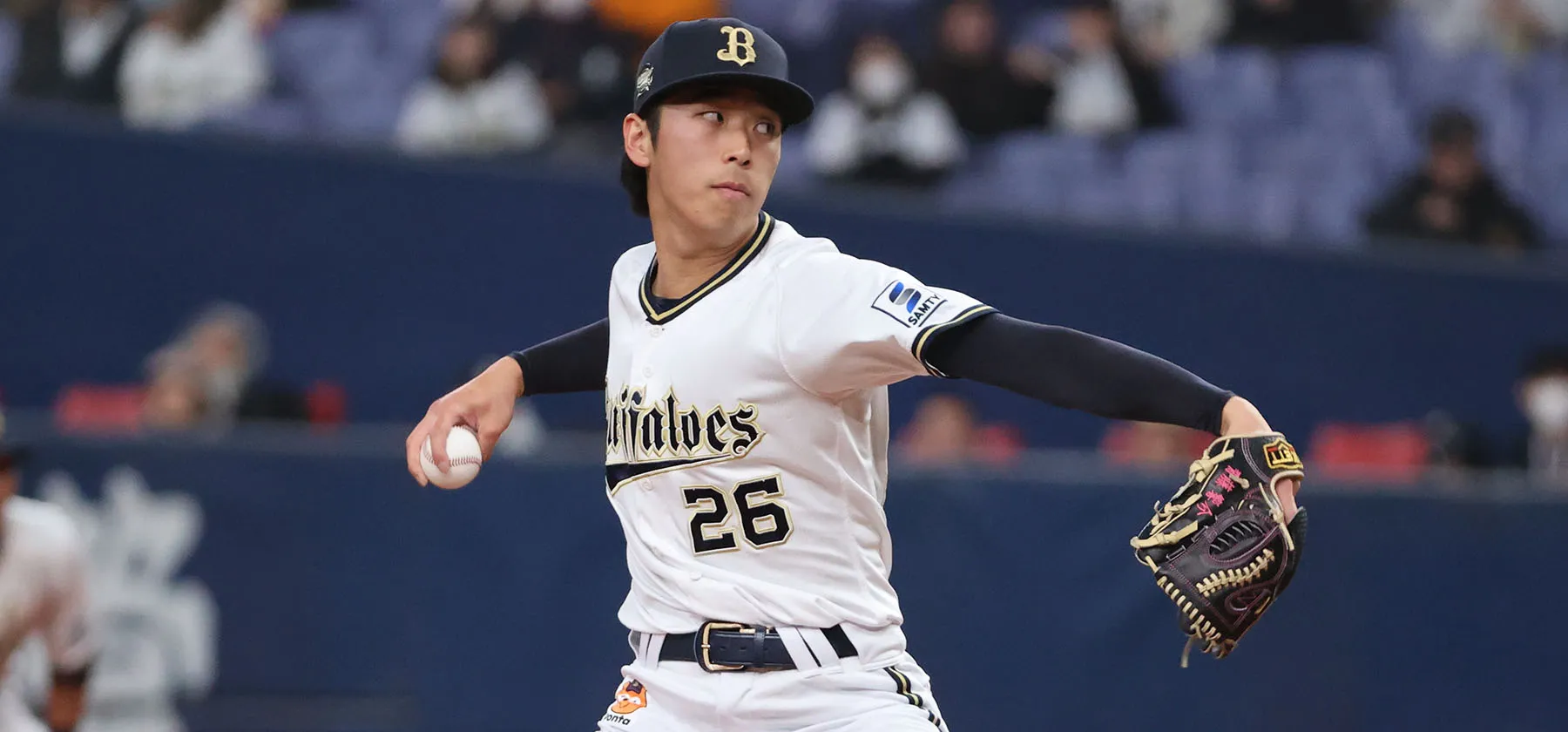 사이토 히비스케