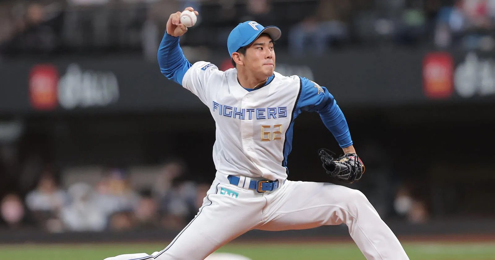 미야우치 하루키