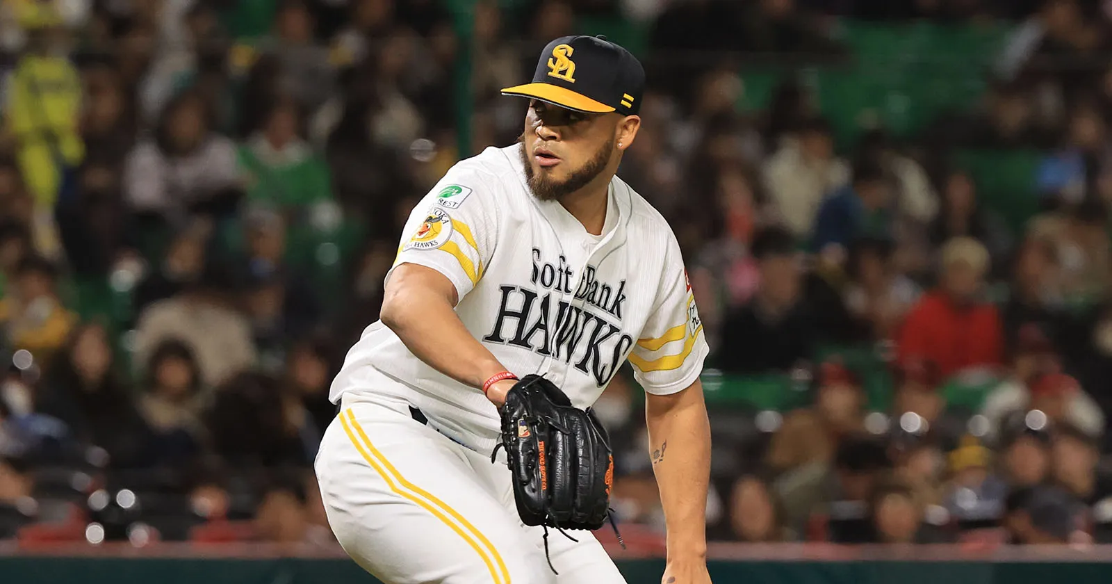 다윈존 헤르난데스