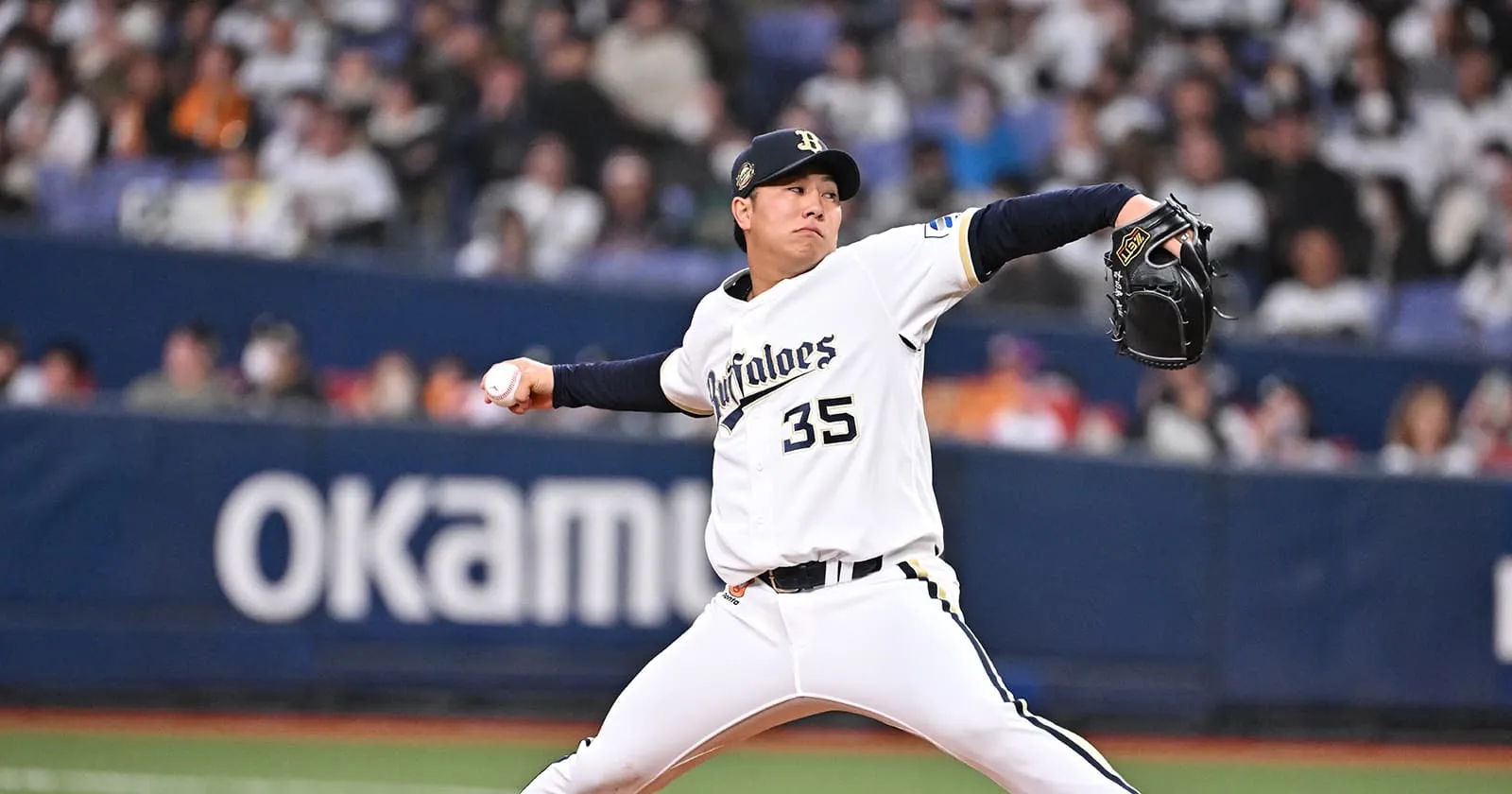 후루타 섬 성룡