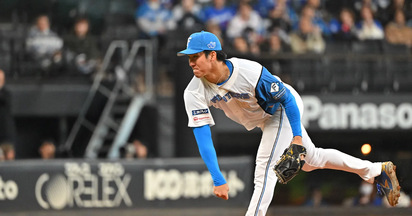 기요미야 호랑이 타로