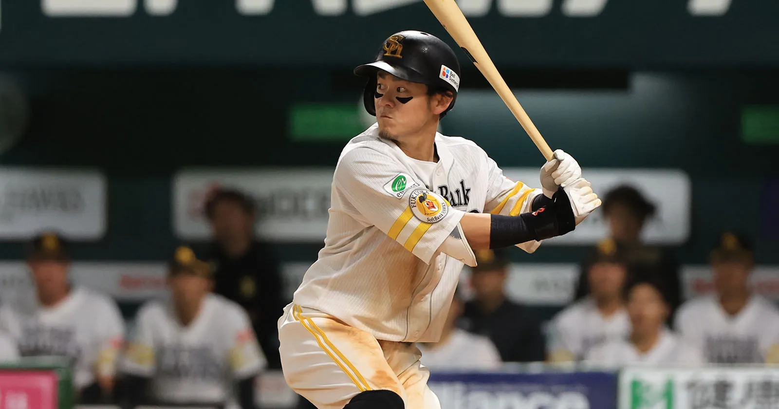 마키하라 다이세이