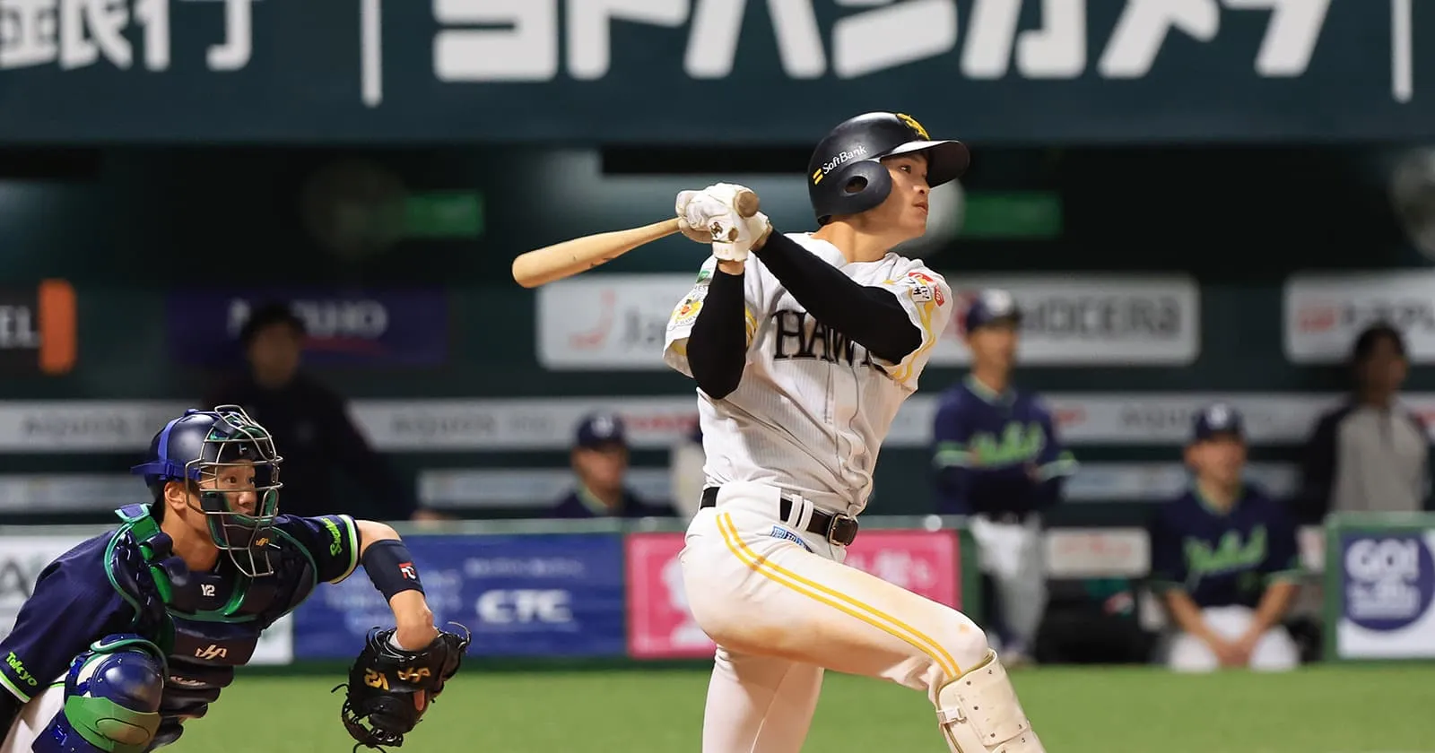 사사가와 요시야스