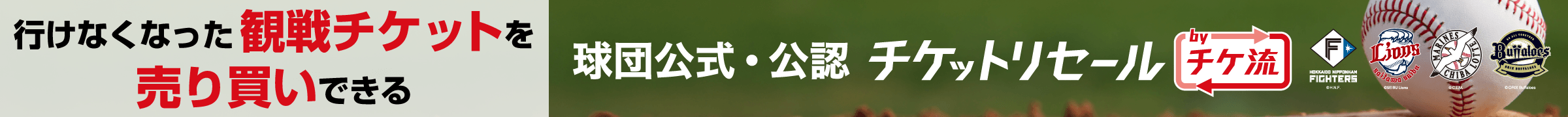 배너(다른 창에서 열기)